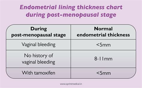 endometrial cancer thickness measurement|15mm endometrial thickness in postmenopausal.